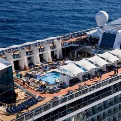 Sydney whale watching cruises from $54.30