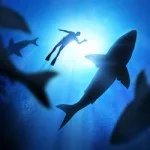 avoid-loan-sharks-australia