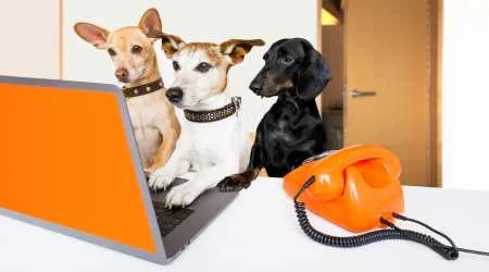 This Dodo NBN deal worth $290 ends in 3 weeks – is there a catch?