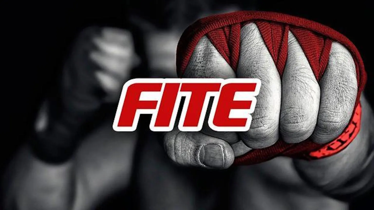 FITE TV logo 