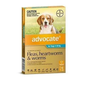 Advocate - Fleas, Heartworm and Worms Treatment