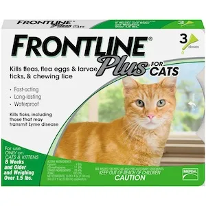 Frontline Plus flea and tick treatment for cats