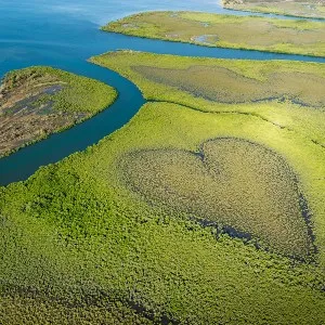 Aerial shot of the Couer de Voh, a heart shaped within mangroves.