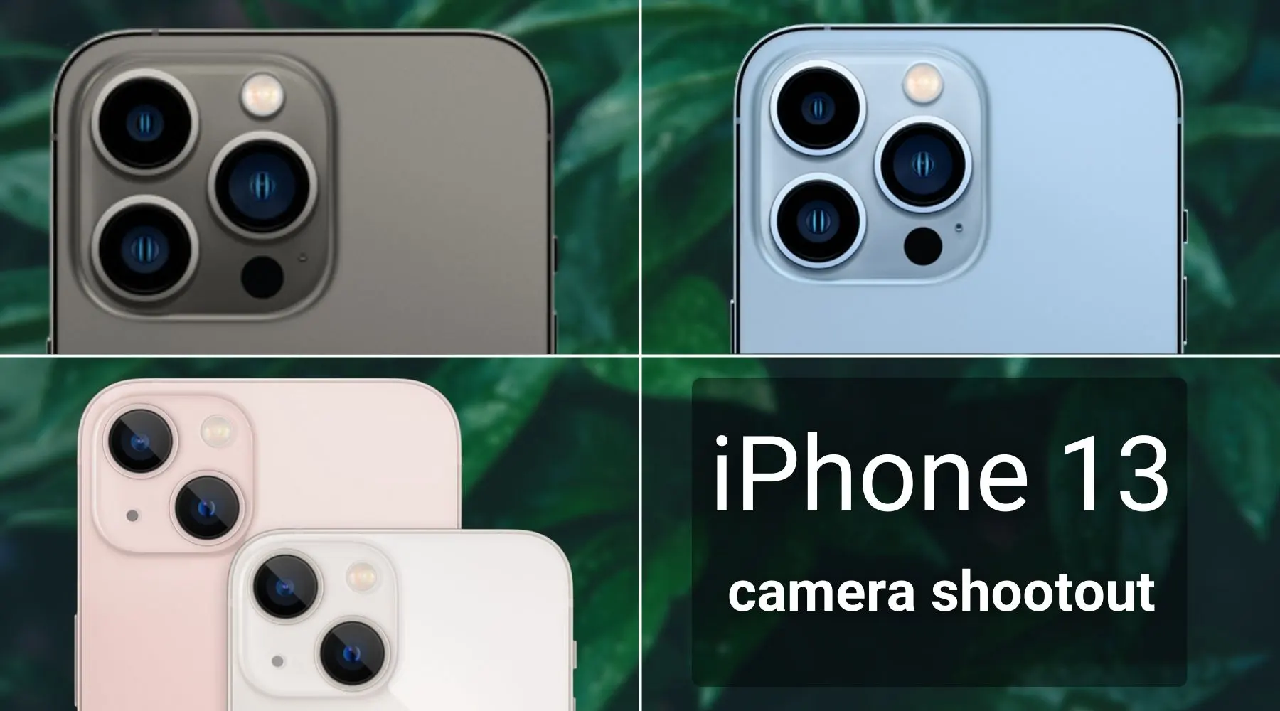 Iphone 13 Camera Shootout Mini Vs Pro Vs Pro Max Finder