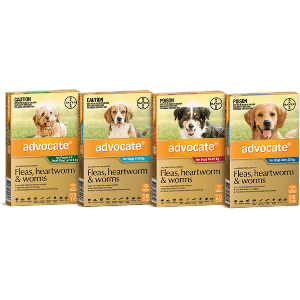 gps dog tracking system