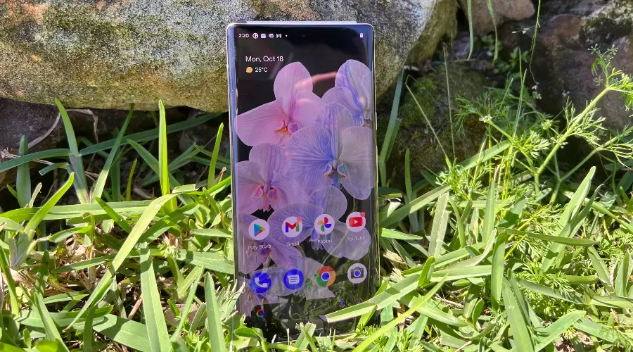 Google Pixel 6 Pro review