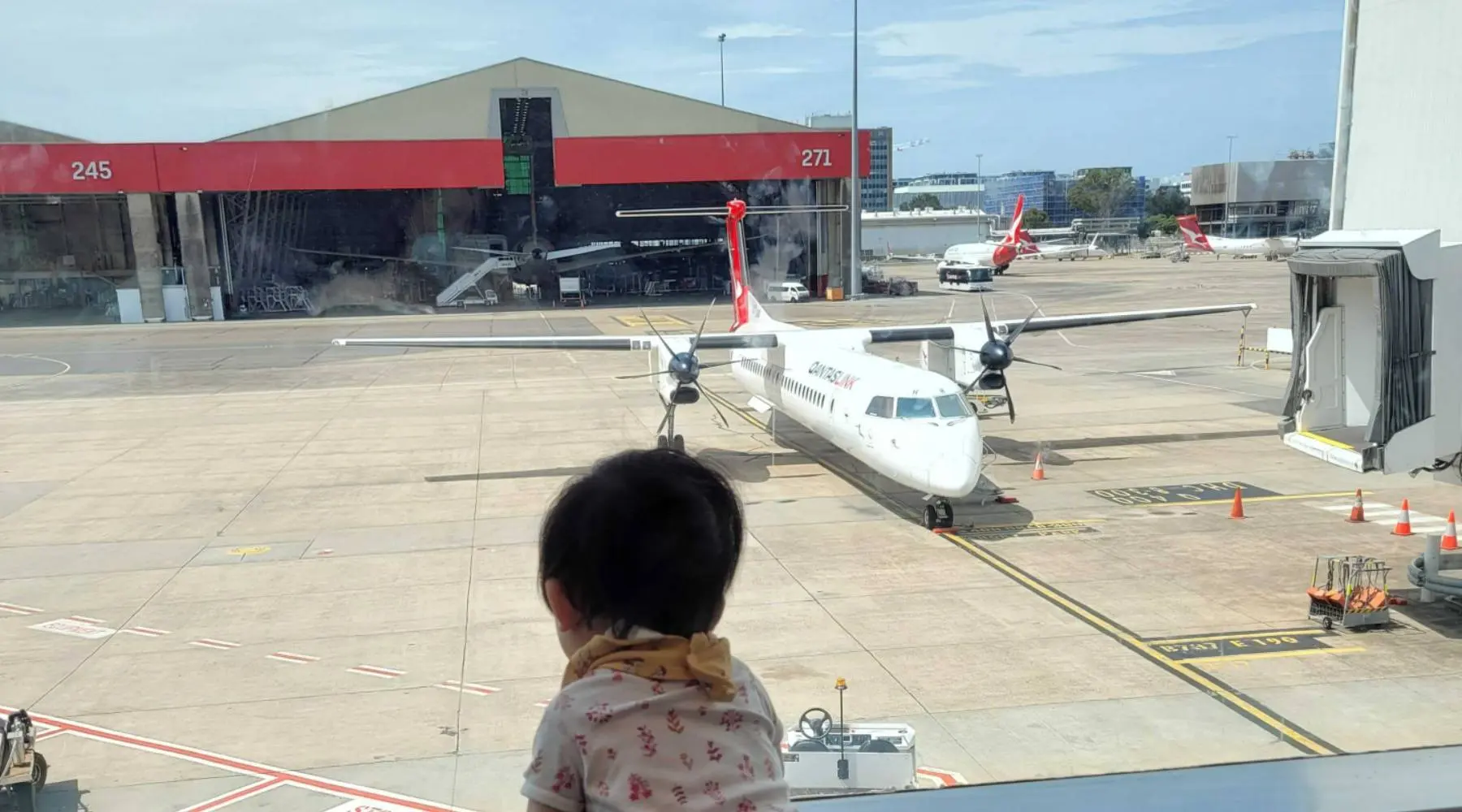 Baby staring at Qantas plane