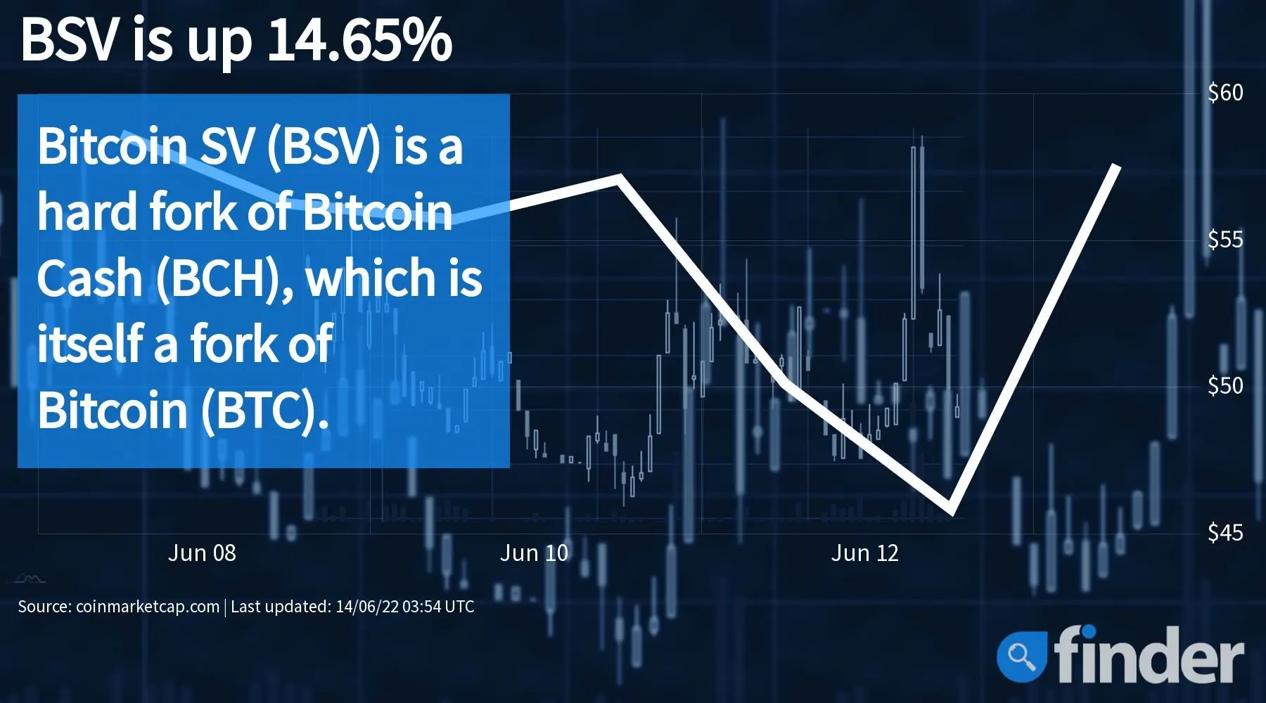 Bitcoin-SV-BSV