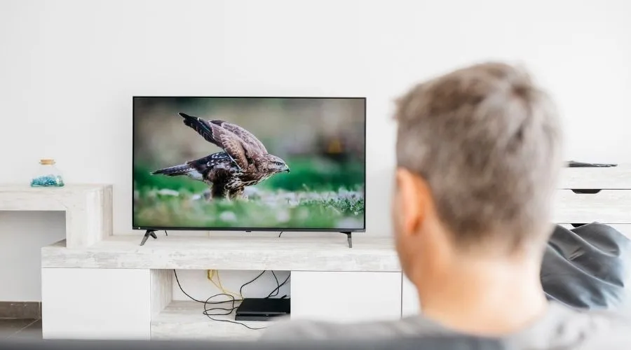 indkomst Hellere Luftfart Projector vs TV: Which is better? | Finder
