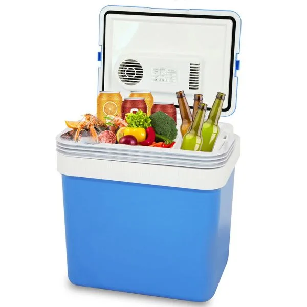 2-in-1 mini portable fridge