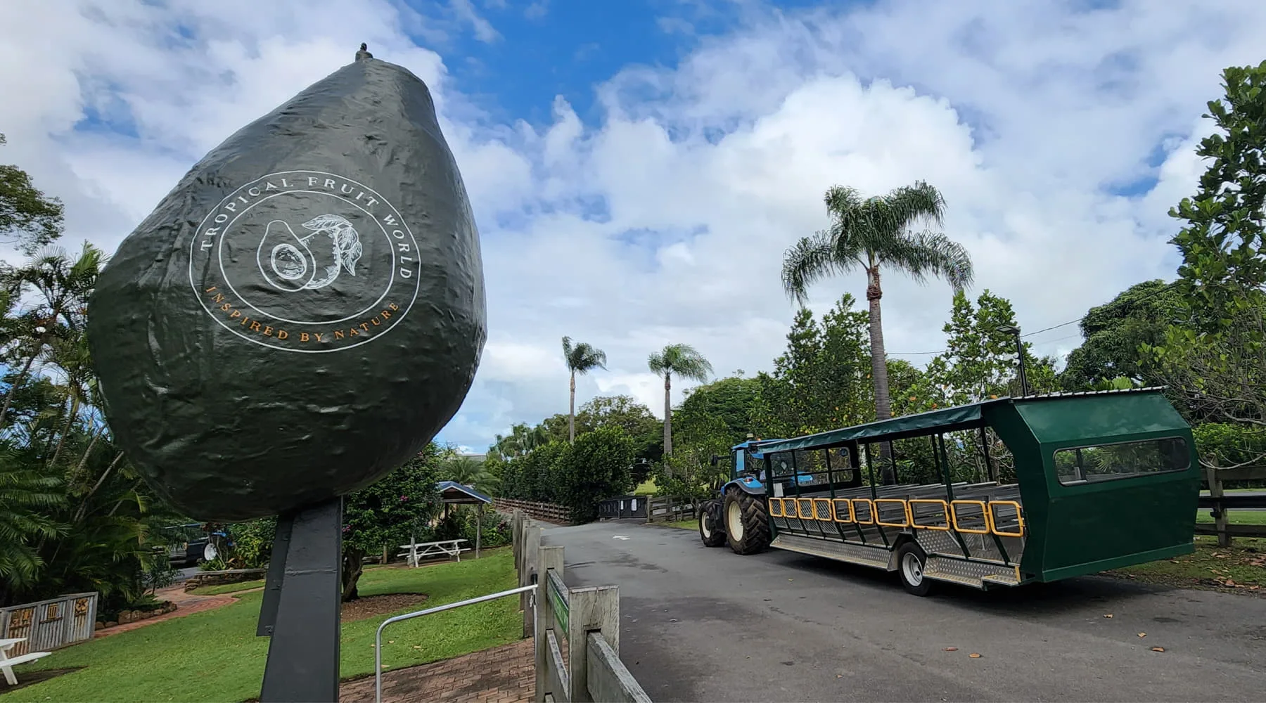 Tropical Fruit World review Finder