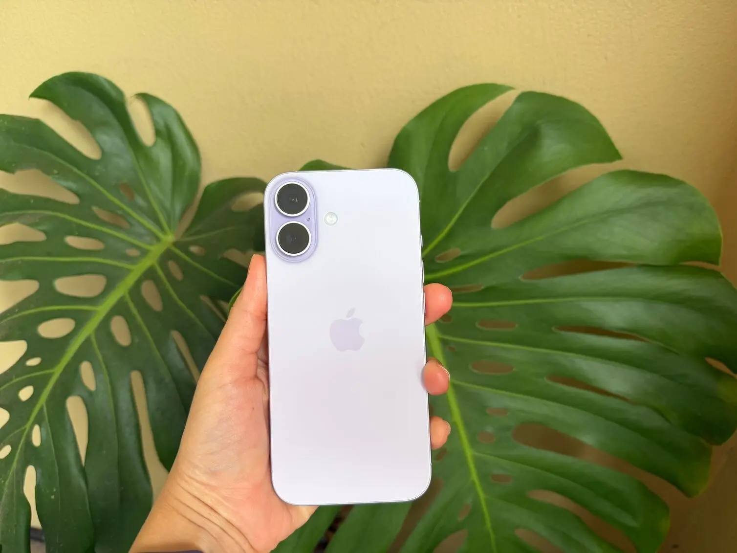 A person holding iPhone 17 showing the back part of the device