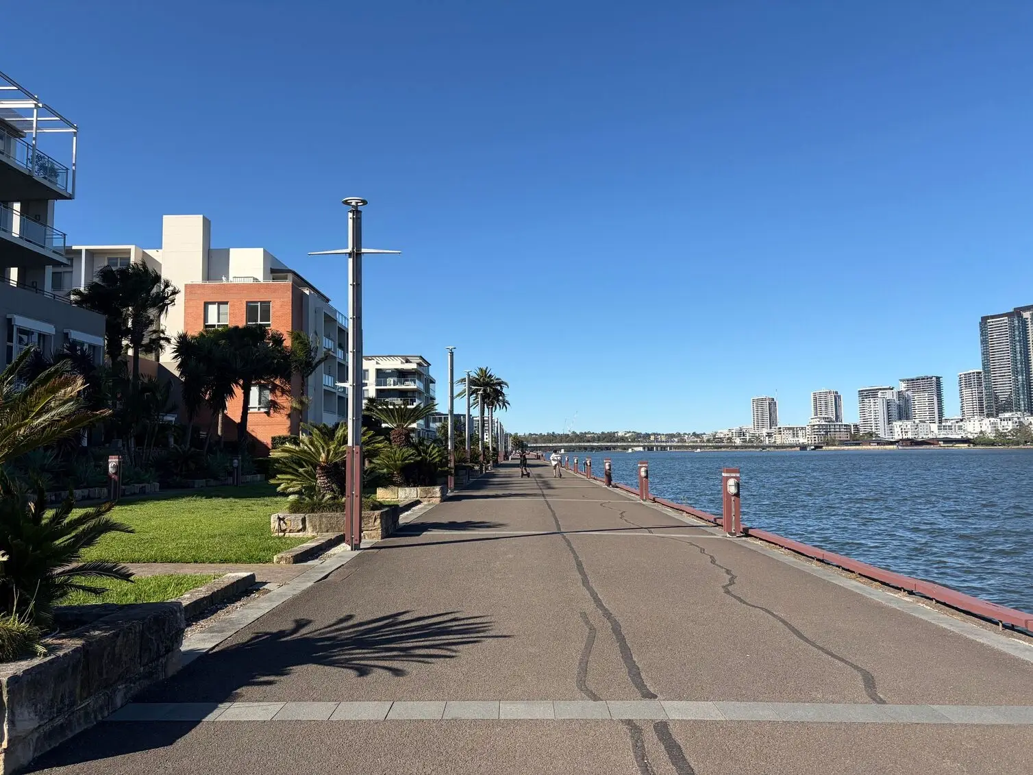 Using iPhone 17 to capture the view of park that brings peaceful feeling