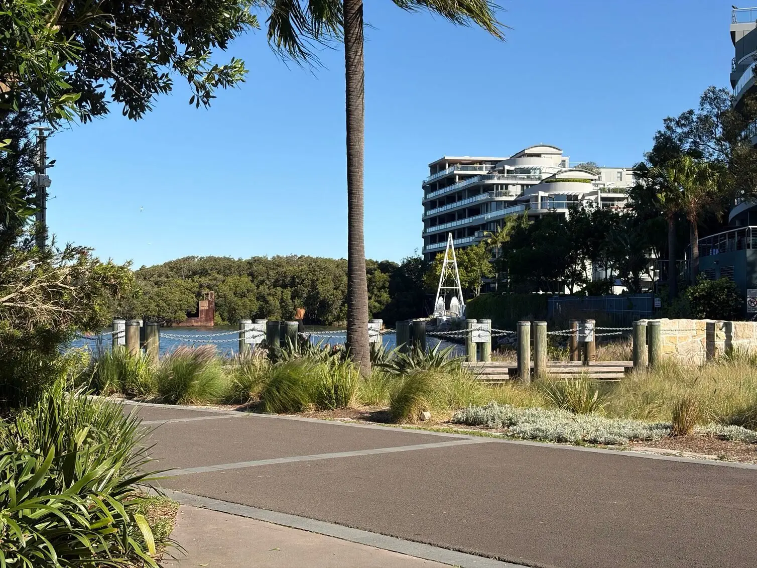 Photo using iPhone 17 to capture the calmness of the park