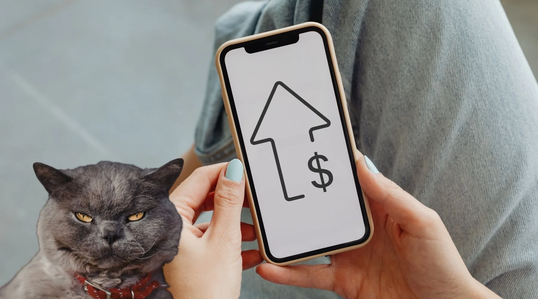 Optusmobileplanpricehikes_1800x1000