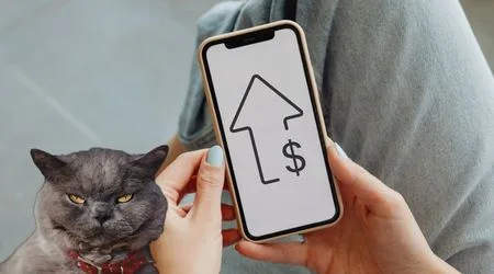 Main image of person holding a phone with a price increase graphic on the blank screen. Gray cat with angry expression on the left. 