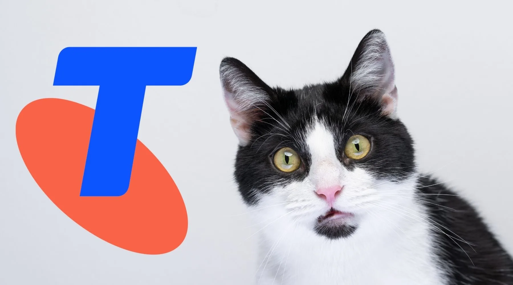 Telstraraisesmobileplanpricesagain_1800x1000