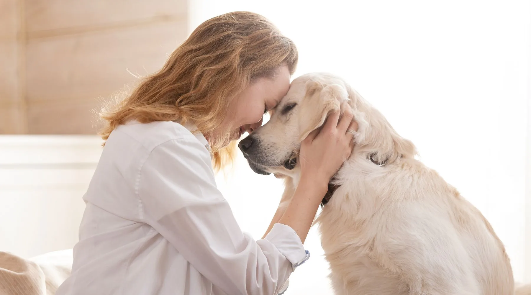 PetsInWills_Supplied_1800x1000