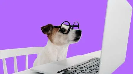 TPG NBN prices just went up – except on these two popular plans