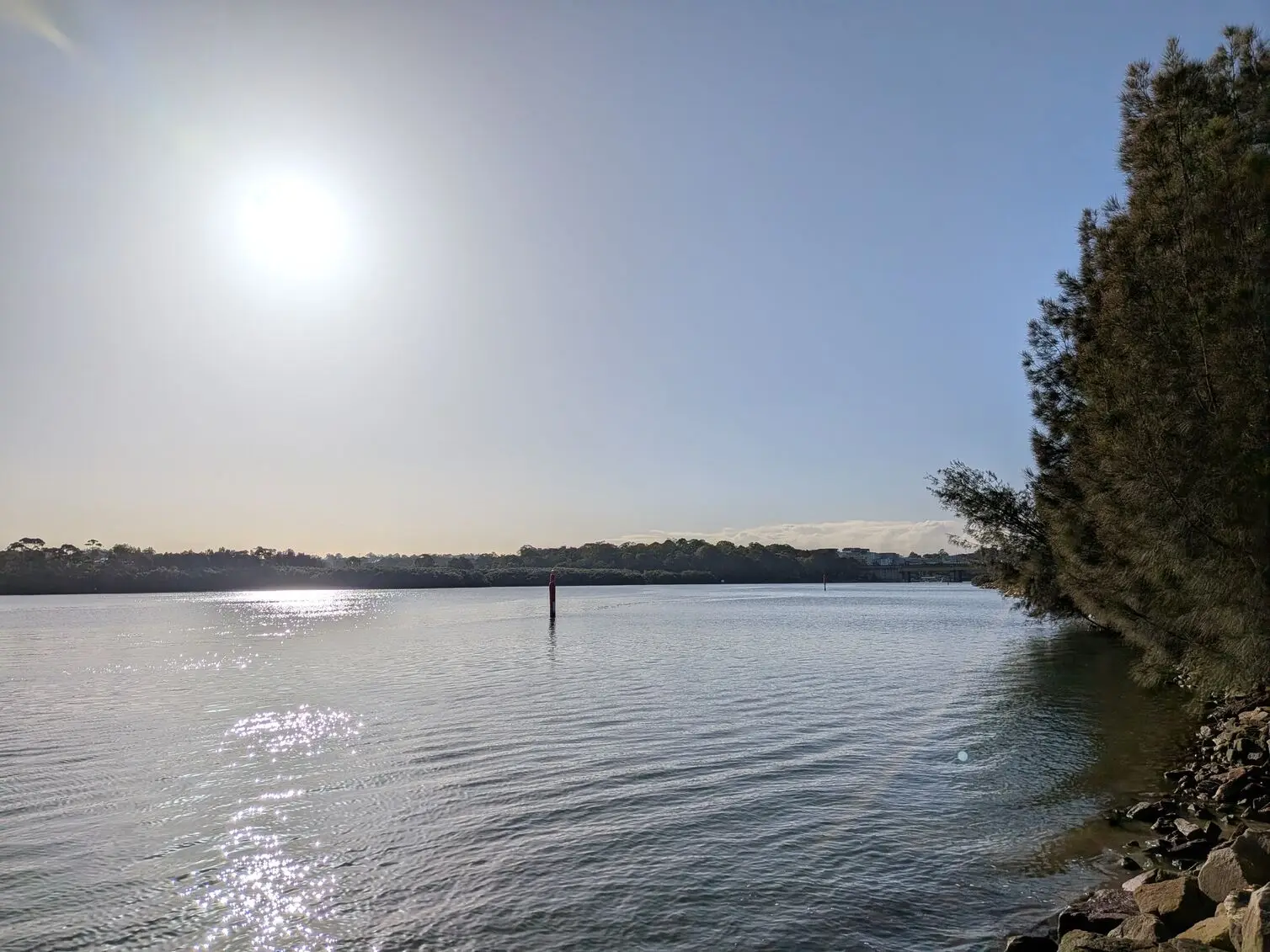 Google Pixel 10a captures a sun-drenched harbour scene with sparkling water reflections and a tree-lined shore under a hazy blue sky.