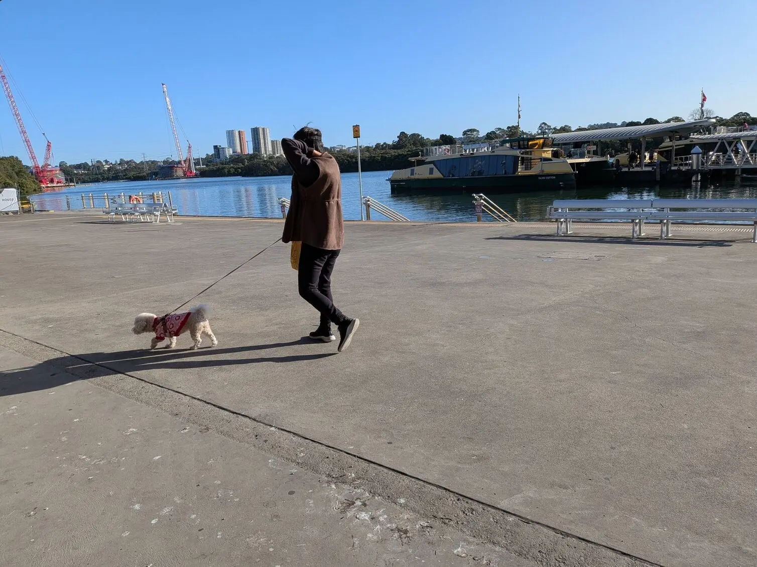 Google Pixel 10a captures a candid moment of a woman walking her dog along a waterfront promenade with a ferry docked nearby.