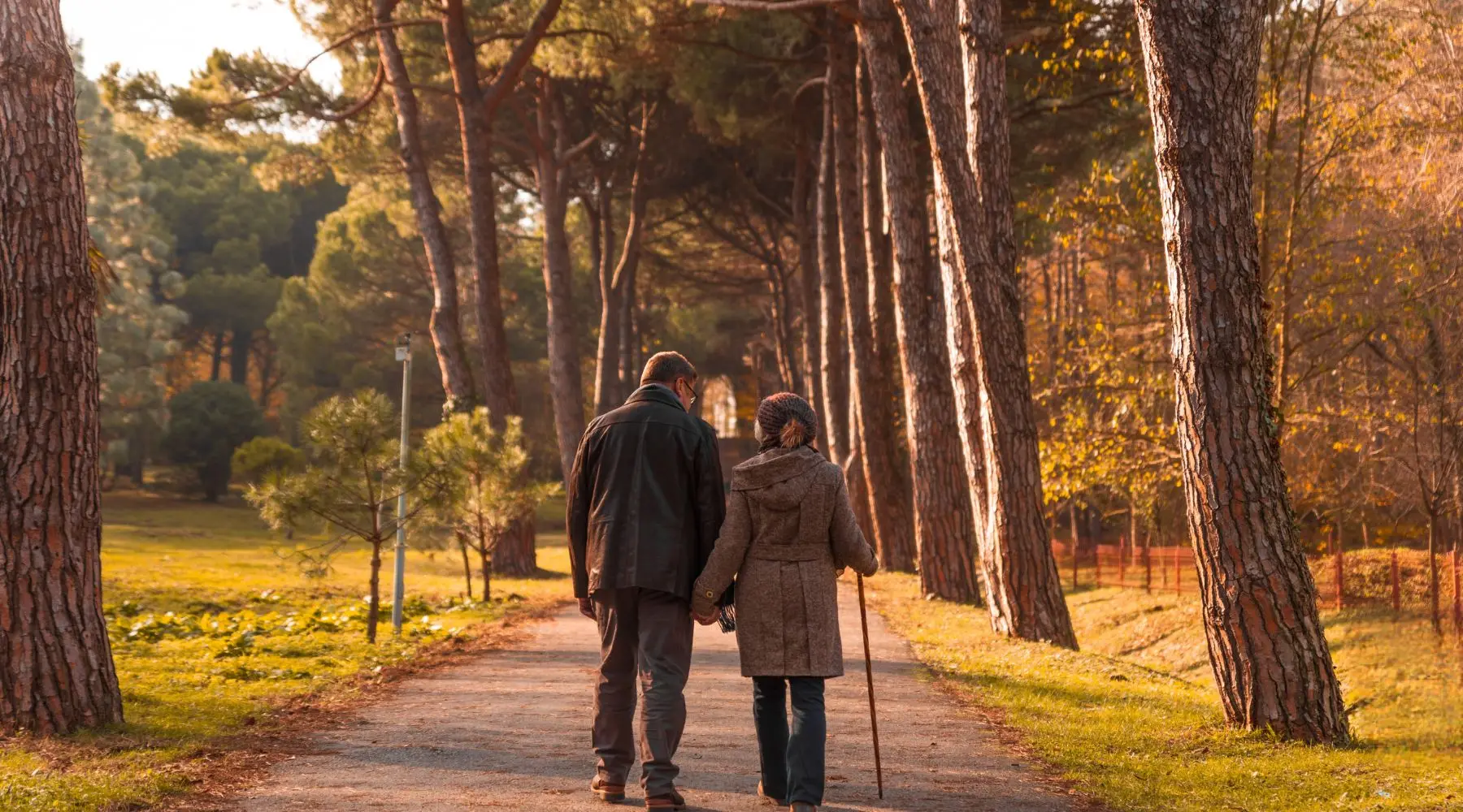 Couple walking through park_Canva_1800x1000 Couple walking through park_Canva_1800x1000