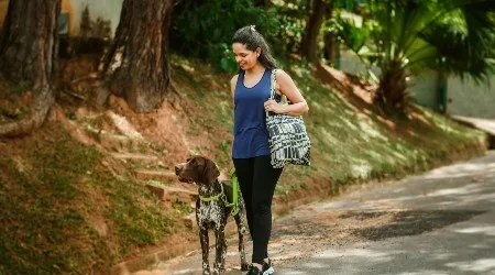 Australia’s dog capital revealed: More than half of Ipswich owns a pooch