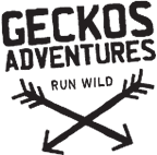 Geckos Adventures