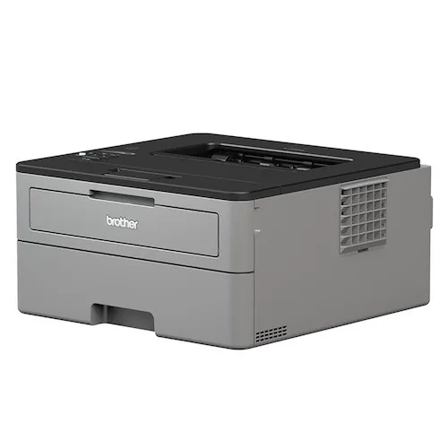 Brother Mono Laser Printer HL-L2350DW